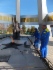 К 70-летию Победы «Газпром» провел широкомасштабную акцию по реконструкции мемориалов «Вечный огонь» по всей России